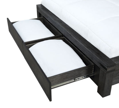 Modus Meadow Queen Storage Bed in Graphite