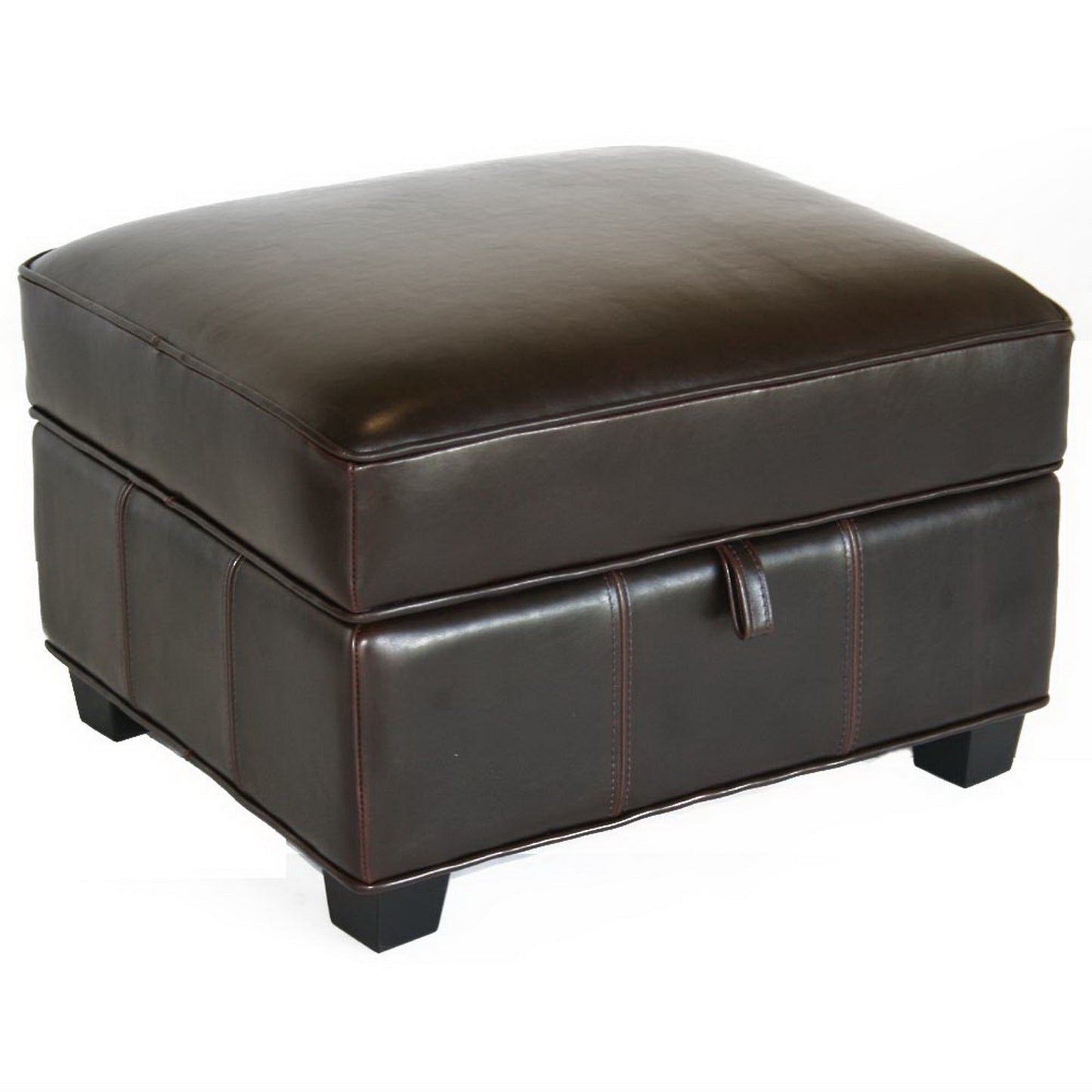 Contemporary Storage Ottoman in Dark Brown Leather bxi2271-31
